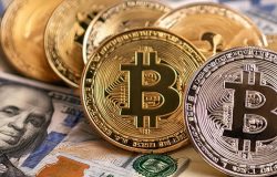 Immagine Senatori USA Favorevoli all’Istituzione di una Riserva Bitcoin