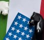 Immagine Dazi USA: La Stretta di Trump Minaccia l’Export Italiano – Ecco Chi Rischia di Più!